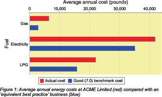 BizEE Benchmark can rapidly generate valuable figures and charts